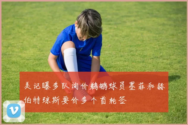美记曝多队询价鹈鹕球员墨菲和赫伯特琼斯要价多个首轮签