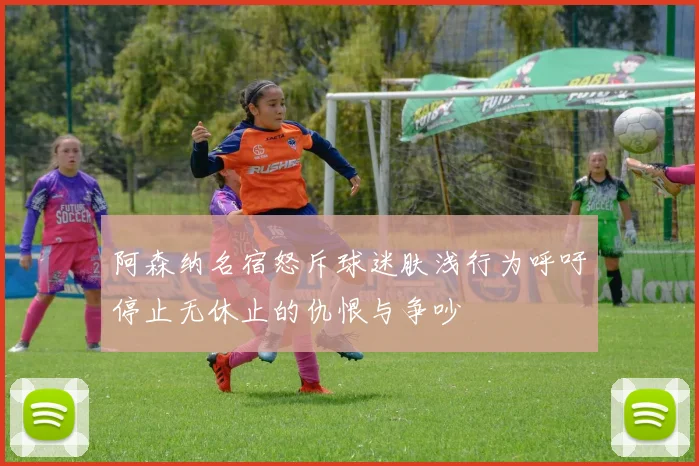 阿森纳名宿怒斥球迷肤浅行为呼吁停止无休止的仇恨与争吵